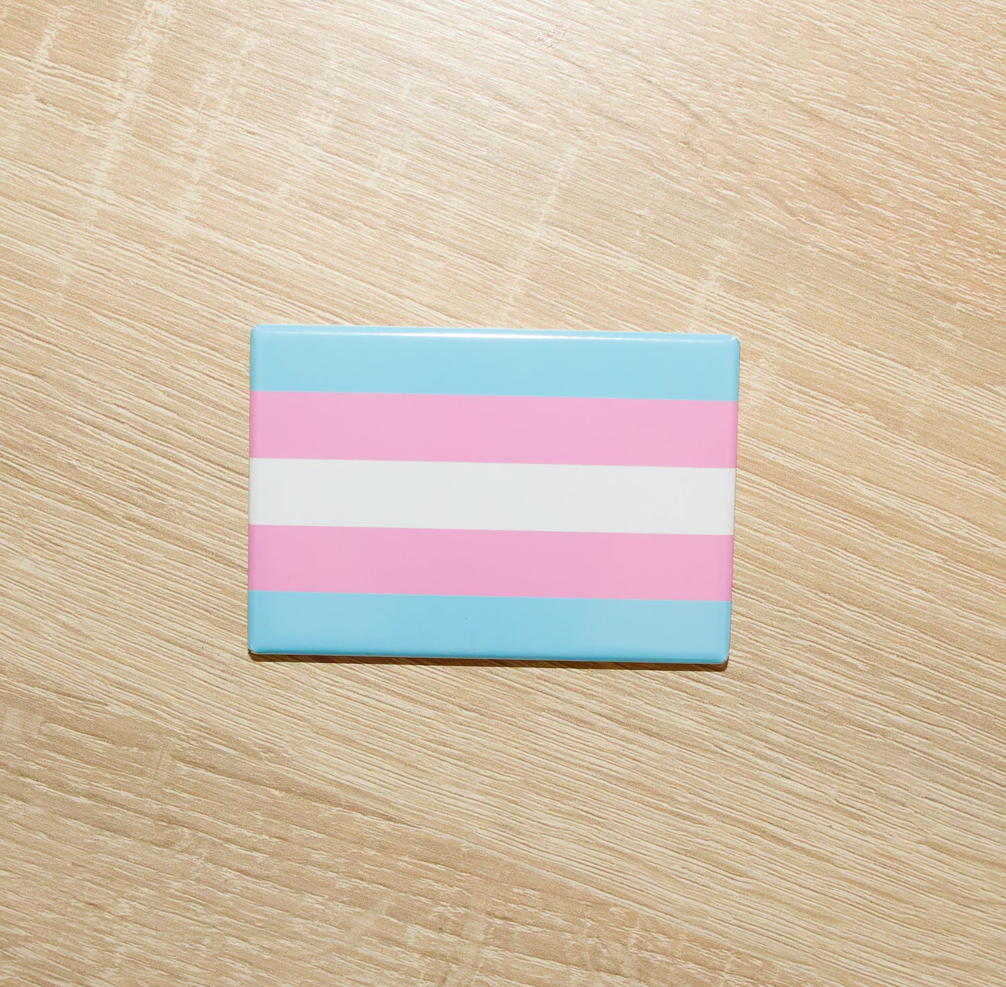 Magnet za hladnjak sa zastavom ponosa | LGBTQ+ kolekcija zastava | 8×5cm